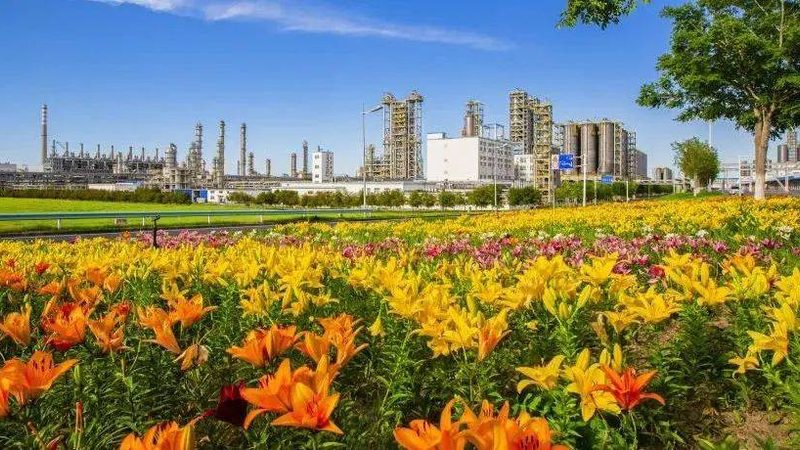 农用化工原料代理加盟，这些条件你了解吗？**